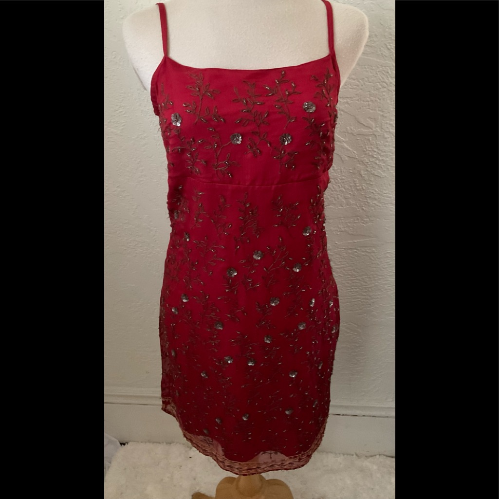 Express Silk Dress 7